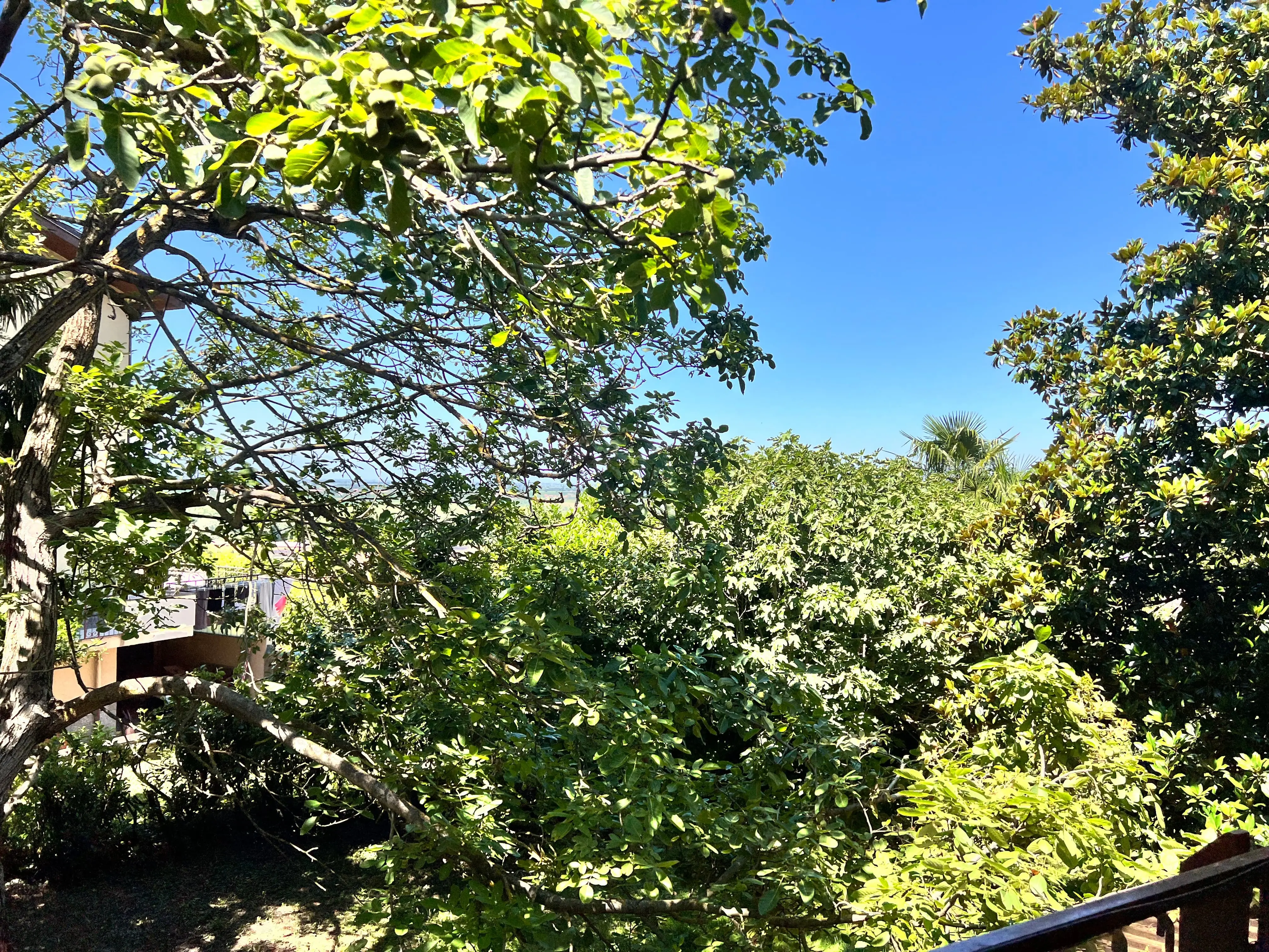 Spazi all'aperto nel giardino della casa famiglia ad Avigliana